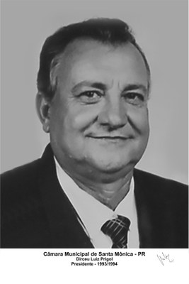 Presidente 1993 a 1994